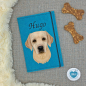 Preview: Designbeispiel der Impfpasshülle türkis für den Labrador blond